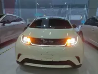 BYD Dolphin 2025 (13000 км)