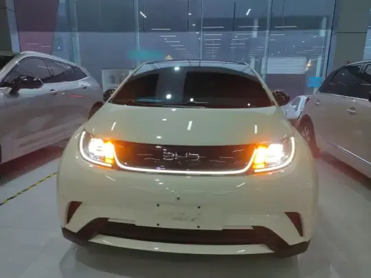BYD Dolphin 2025 (13000 км)