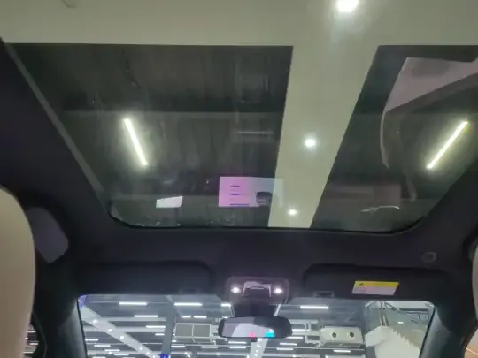 BYD Dolphin 2025 (13000 км)