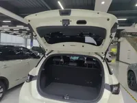 BYD Dolphin 2025 (13000 км)