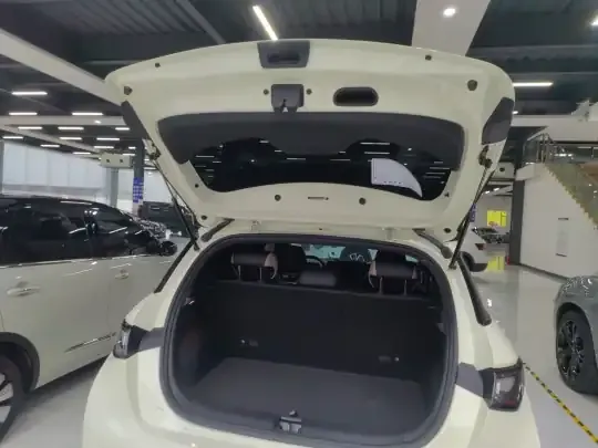 BYD Dolphin 2025 (13000 км)