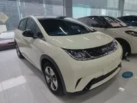 BYD Dolphin 2025 (13000 км)