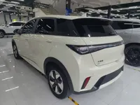 BYD Dolphin 2025 (13000 км)