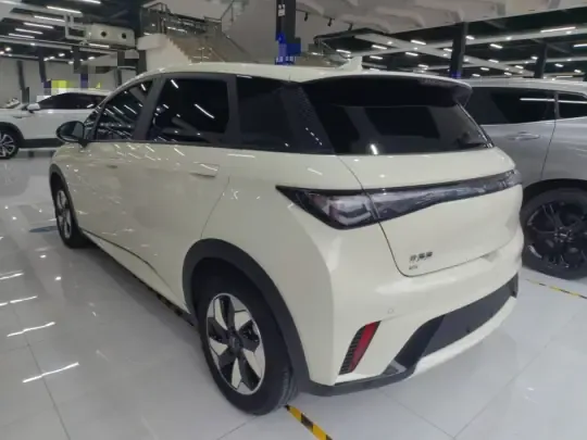 BYD Dolphin 2025 (13000 км)