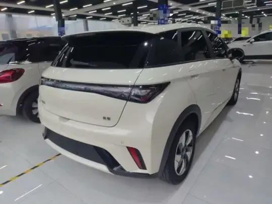 BYD Dolphin 2025 (13000 км)