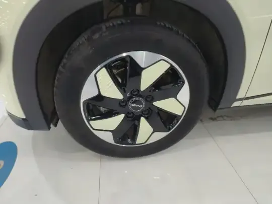 BYD Dolphin 2025 (13000 км)