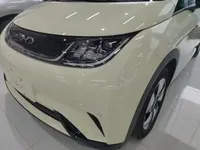 BYD Dolphin 2025 (13000 км)