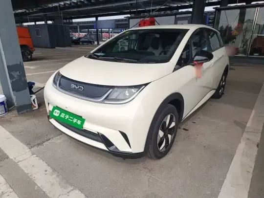 BYD Dolphin 2025 (500 км)