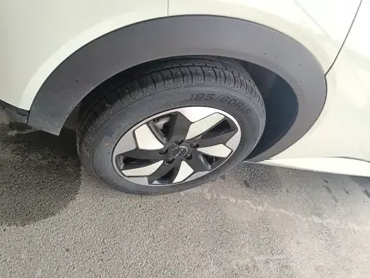 BYD Dolphin 2025 (500 км)