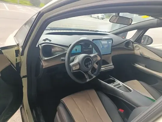 BYD Dolphin 2025 (500 км)