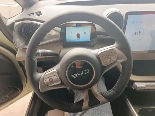 BYD Dolphin 2025 (500 км)