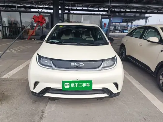 BYD Dolphin 2025 (500 км)