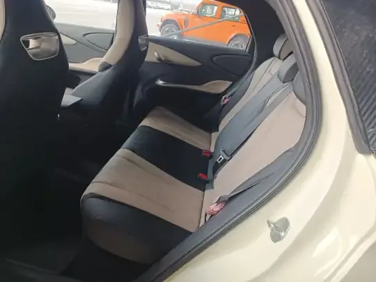BYD Dolphin 2025 (500 км)
