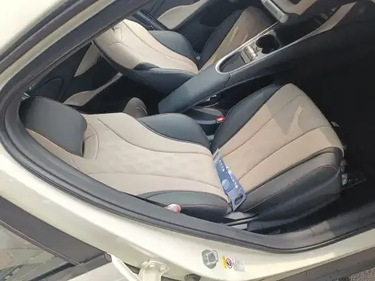 BYD Dolphin 2025 (500 км)