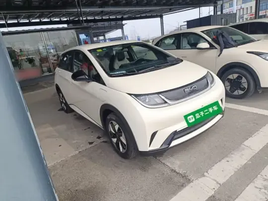 BYD Dolphin 2025 (500 км)
