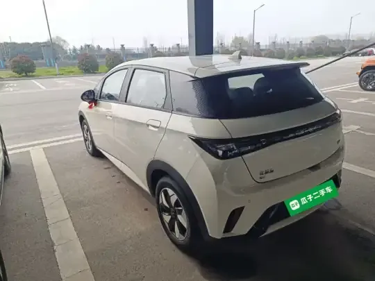 BYD Dolphin 2025 (500 км)
