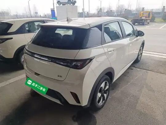 BYD Dolphin 2025 (500 км)