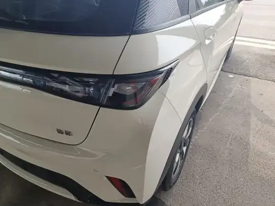 BYD Dolphin 2025 (500 км)