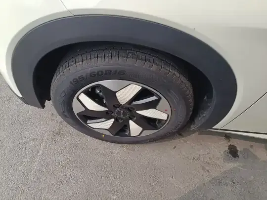 BYD Dolphin 2025 (500 км)