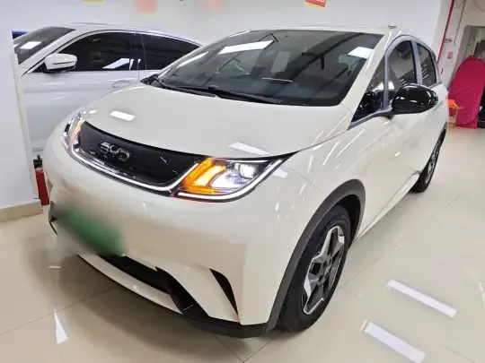 BYD Dolphin 2025 (18700 км)