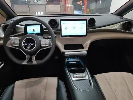 BYD Dolphin 2025 (18700 км)