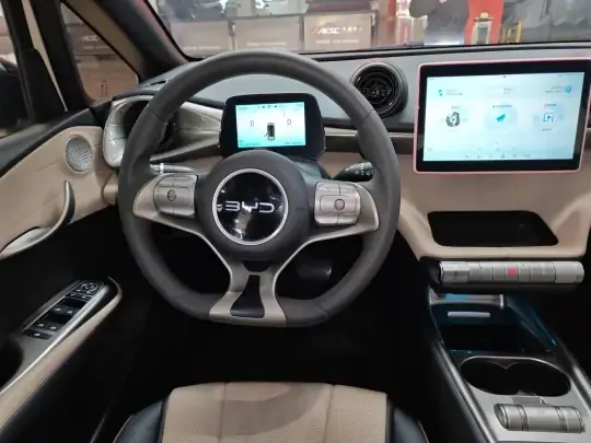 BYD Dolphin 2025 (18700 км)