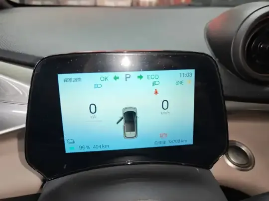 BYD Dolphin 2025 (18700 км)