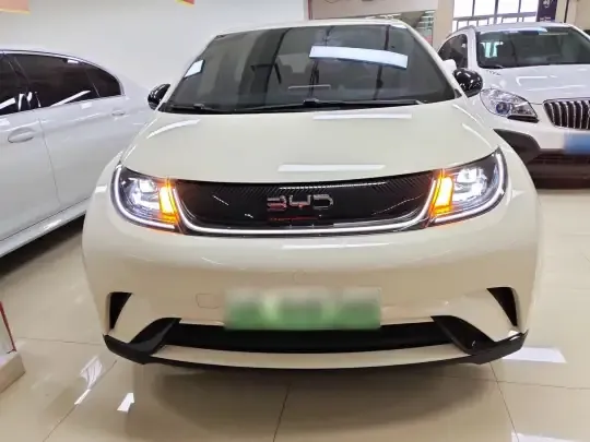 BYD Dolphin 2025 (18700 км)