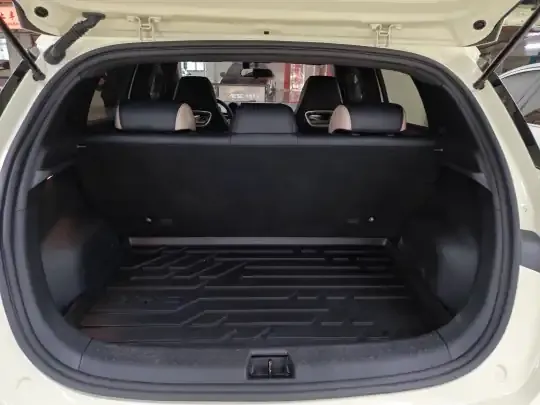 BYD Dolphin 2025 (18700 км)