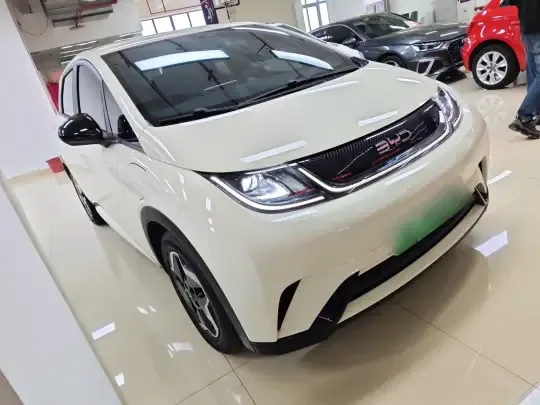 BYD Dolphin 2025 (18700 км)