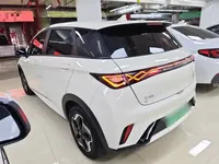 BYD Dolphin 2025 (18700 км)