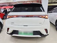 BYD Dolphin 2025 (18700 км)