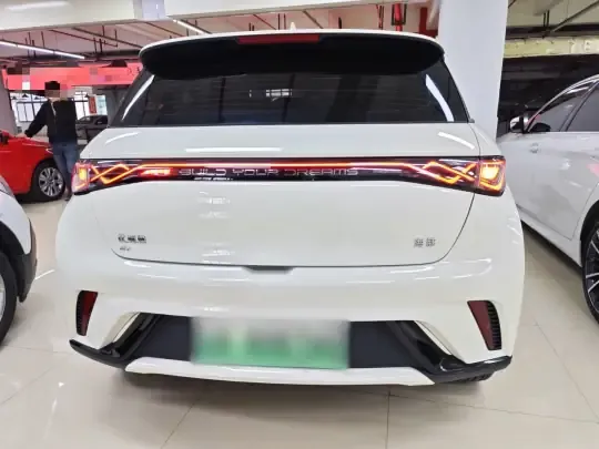 BYD Dolphin 2025 (18700 км)