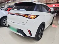 BYD Dolphin 2025 (18700 км)