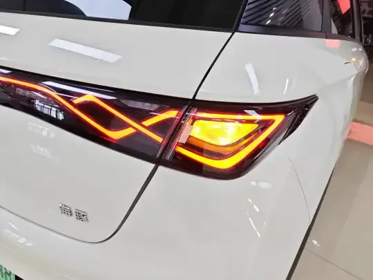 BYD Dolphin 2025 (18700 км)