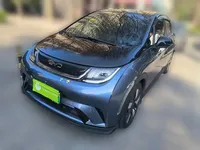BYD Dolphin 2025 (13000 км)
