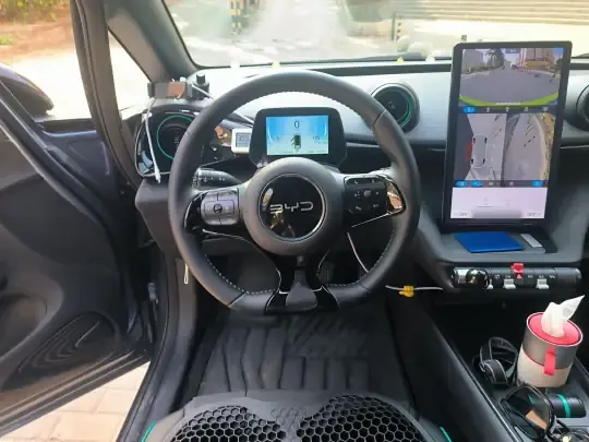 BYD Dolphin 2025 (13000 км)