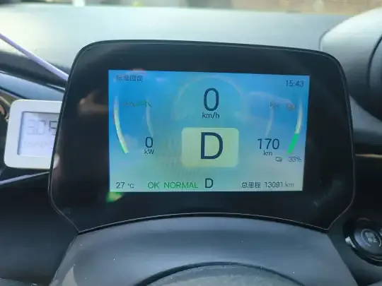 BYD Dolphin 2025 (13000 км)