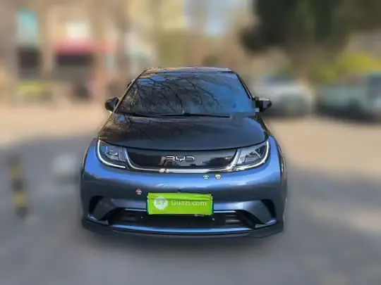 BYD Dolphin 2025 (13000 км)