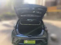 BYD Dolphin 2025 (13000 км)