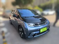BYD Dolphin 2025 (13000 км)