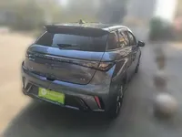 BYD Dolphin 2025 (13000 км)