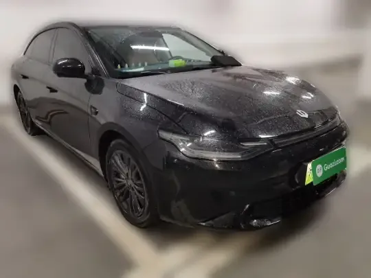 Leapmotor C01 2024 (53300 км)