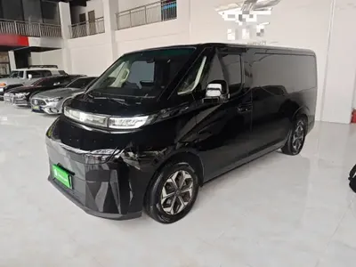 Farizon Geely Xingfu Hao 2024 (22100 км)