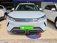BYD Yuan UP 2024 (3400 км)