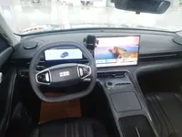 Geely Galaxy E5 2024 (20500 км)