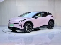 Zeekr X 2025 (4500 км)