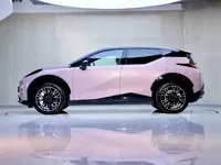 Zeekr X 2025 (4500 км)