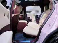 Zeekr X 2025 (4500 км)