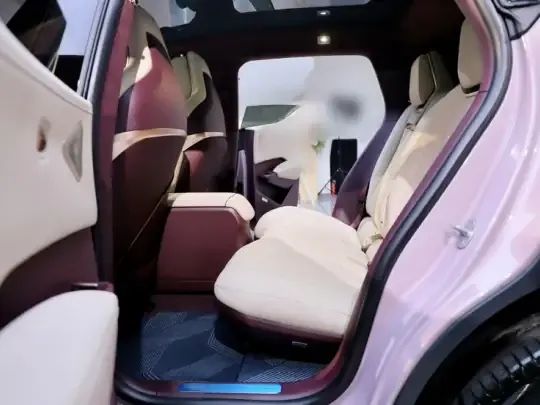 Zeekr X 2025 (4500 км)